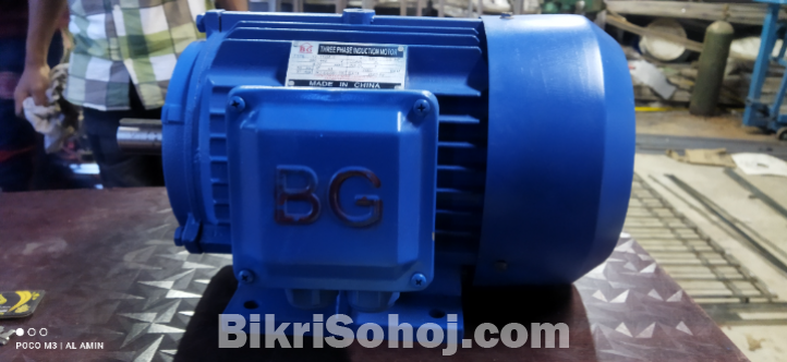 BG 5.5 HP 2800 RPM Induction Motor
